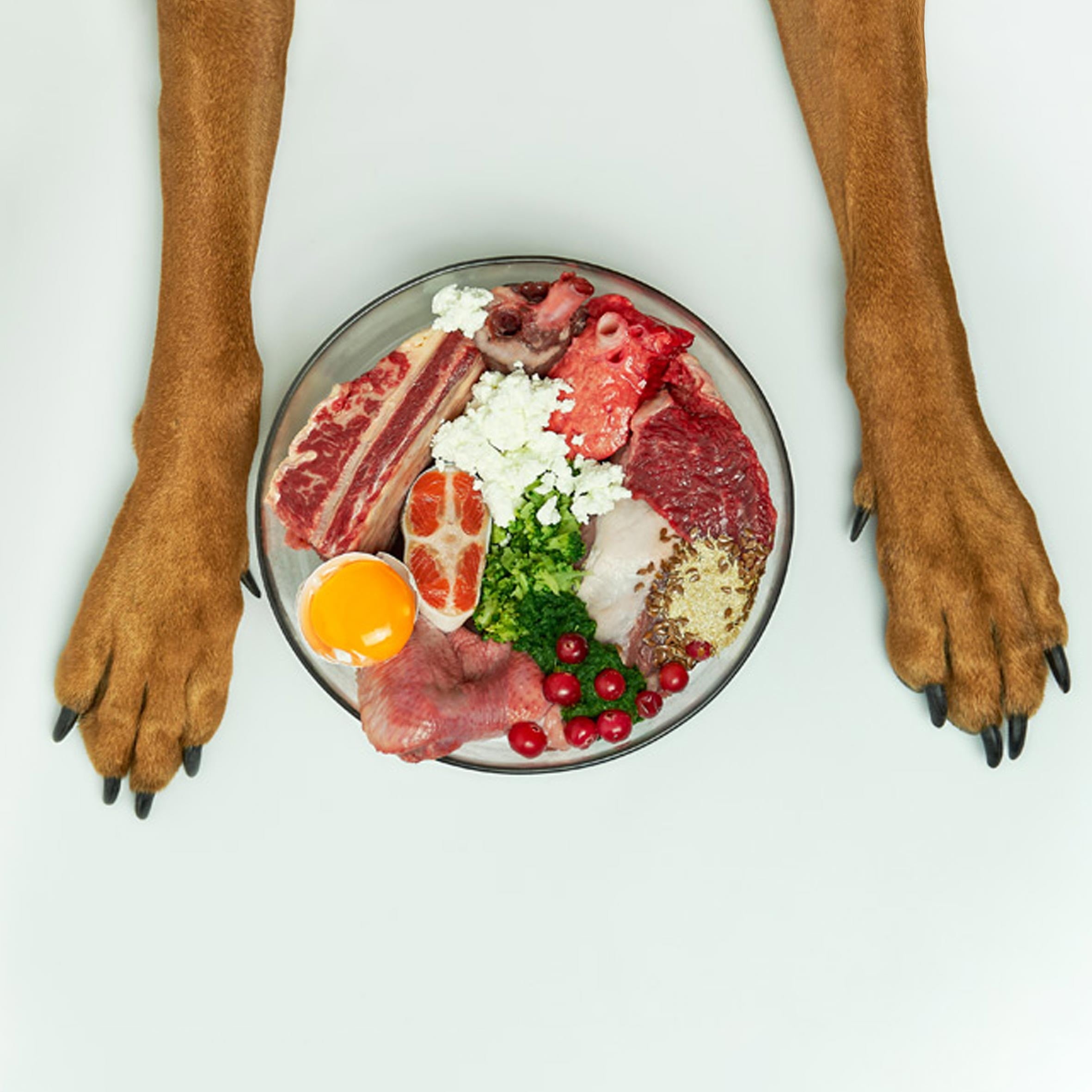 Diferencia entre la comida natural y las dietas barf